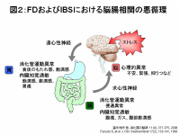 図2：FDおよびIBSにおける脳腸相関の悪循環